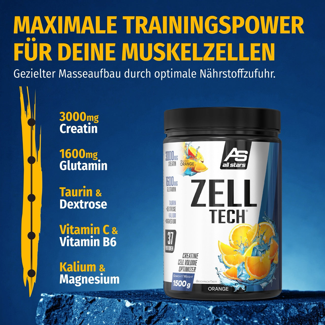 creatin rennrad ALL STARS ZELLTECH - Creatine Cell Volume Optimizer