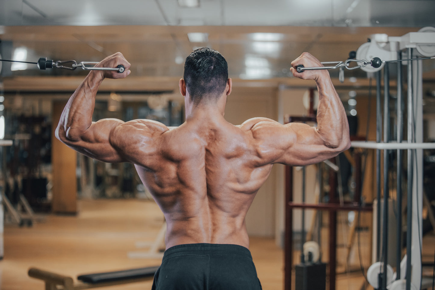 Der Guide für dicke Arme