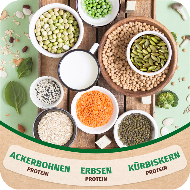 Mittel (Vegan Protein 300g_Top7__Banana Bread_Image 3)