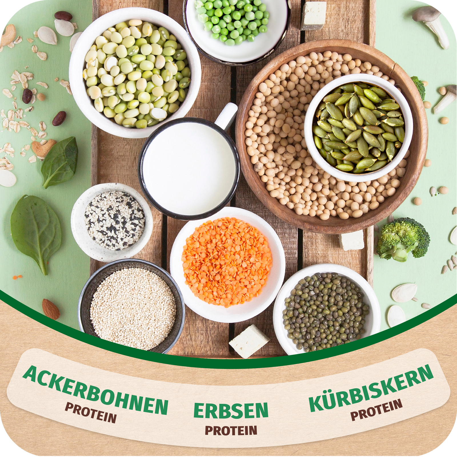 Vegan Protein 300g_Top7__Chocolate Nougat_Image 3 2